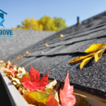 Why You Should Get Your Gutters Cleaned Professionally By Shine Above This Autumn