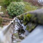 Add Gutter Cleaning To Your Spring Cleaning List