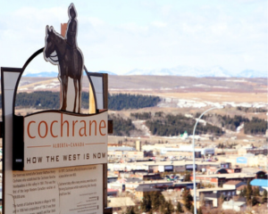 Cochrane2 Cochrane